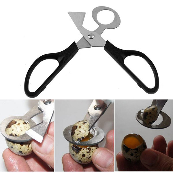 Stainless steel pigeon quail egg scissors