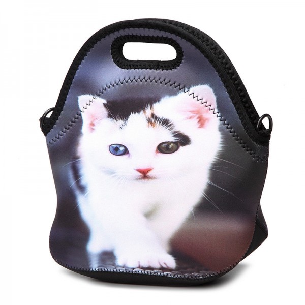 Rubber-insulated lunch tote bag