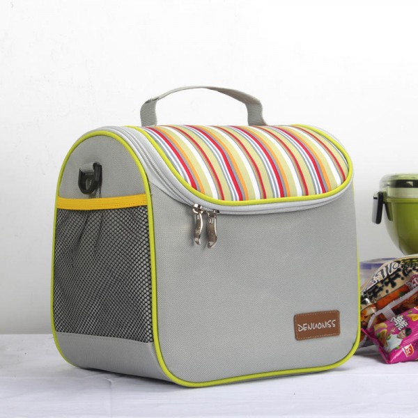 Ladies waterproof insulated tote bag