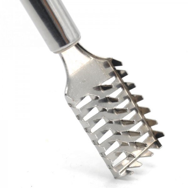 Stainless steel fish scale remover