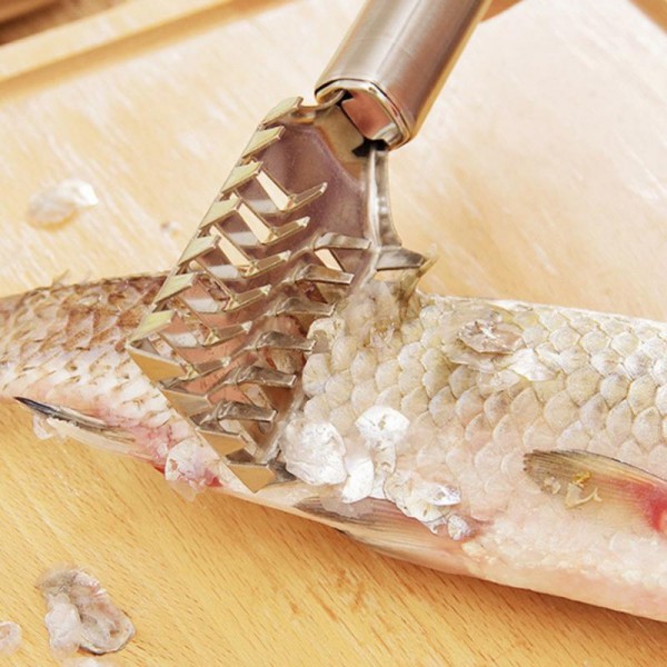 Stainless steel fish scale remover